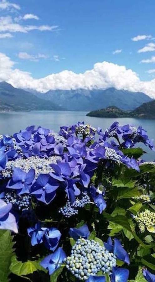Piccolo Paradiso Apartament *